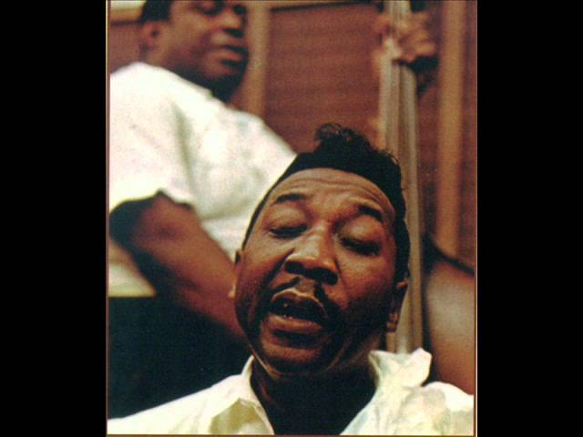 Muddy Waters - Good Morning Little School Girl