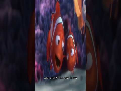 فيلم الكرتون البحث عن نيمو وبداية قصة اختفاء نيمو كرتون البحث عن السمكة نيمو مدبلج ملخص افلام