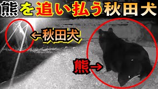 Videos of 