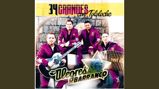 Video thumbnail of "Los Alegres Del Barranco - Si Me Vas a Dejar"