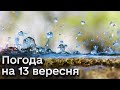 🌞 Погода радує! Літо не йде з України, але декому парасольку таки треба прихопити