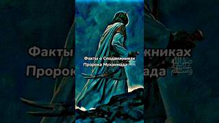 Факты о Сподвижниках Пророка Мухаммада #Abdullah#2023#Islam#Allah#shorts#сподвижник#пророк