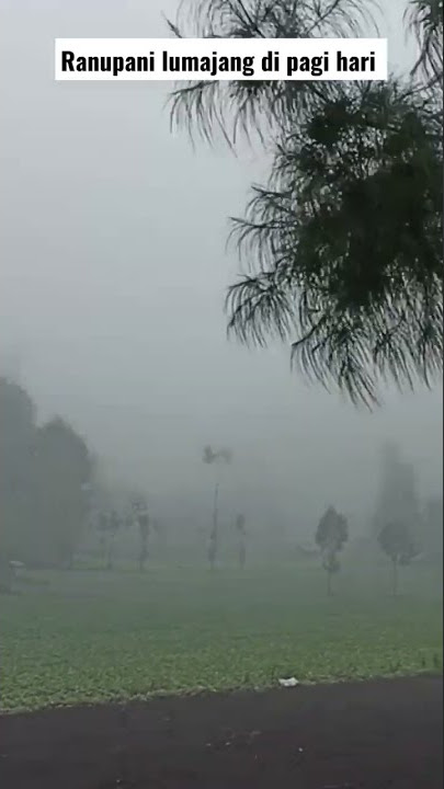 Download lagu Pagi Indah