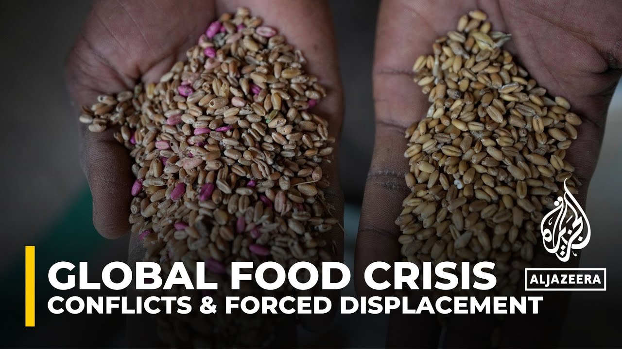 Reports says conflict outweighs climate change in driving global hunger