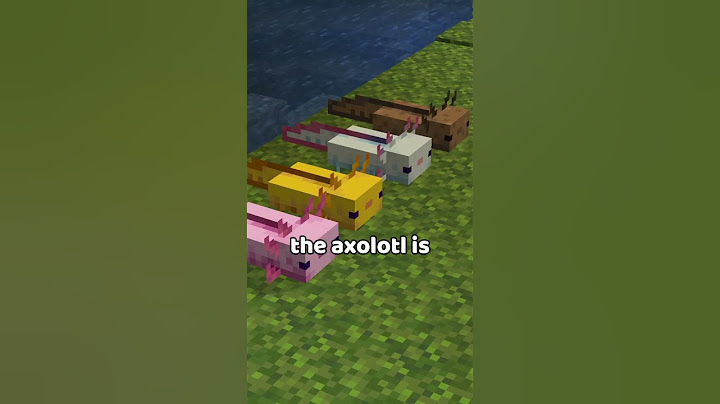 Minecraft's Rarest Mob Variants...