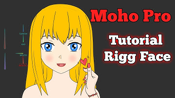 How to Rigg a Face in Anime Studio (moho) - animate courses