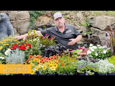 Video: Decorazioni da giardino del Ringraziamento: decorazioni autunnali in crescita per il Ringraziamento