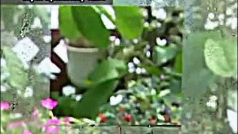 AdvancedCoat - An introduction to Photocatalyst Technology