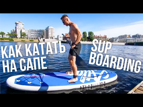 Видео: Руководство для начинающих по серфингу с веслом