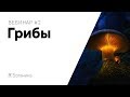 #1.2 | Грибы. Микология — наука о грибах