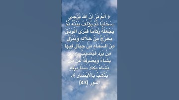 سورة النور 43 قران كريم تلاوة خاشعة