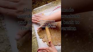 Sourdough Graham Crackers