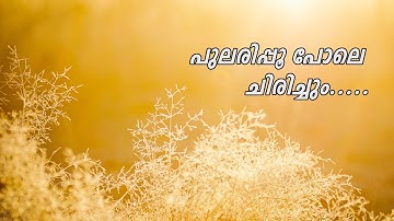 പുലരിപ്പൂ പോലെ ചിരിച്ചും | Pularippoo pole chirichum |  Malayalam Song| Sithara Krishnakumar