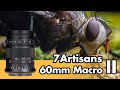 7Artisans 60mm macro II for Fuji review