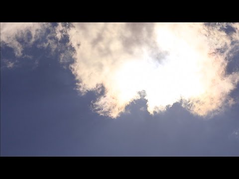 Тропарь ко Св. Луке Крымскому