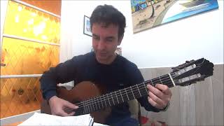 Aún sigo cantando Los Enanitos verdes cover guitarra Nicolás Olivero