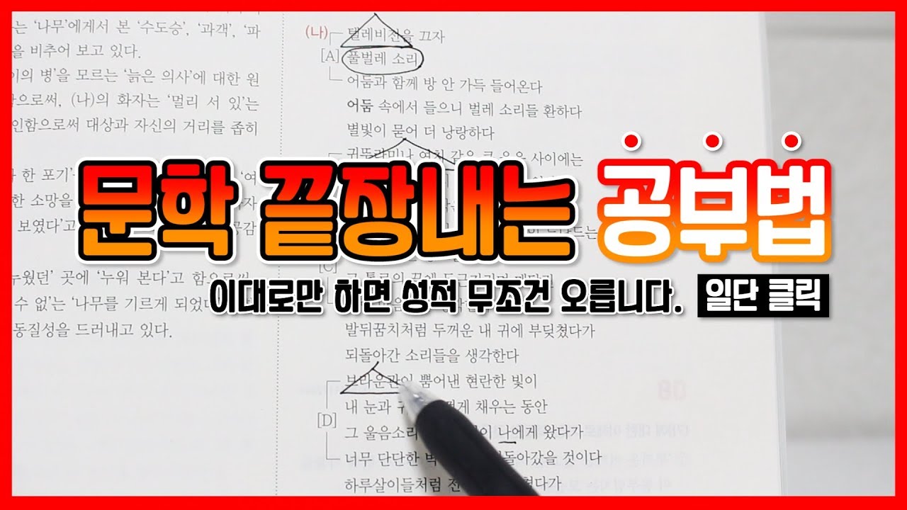 서울대생이 알려주는 국어 문학 공부법! 이대로만 하면 점수 반드시 오릅니다.