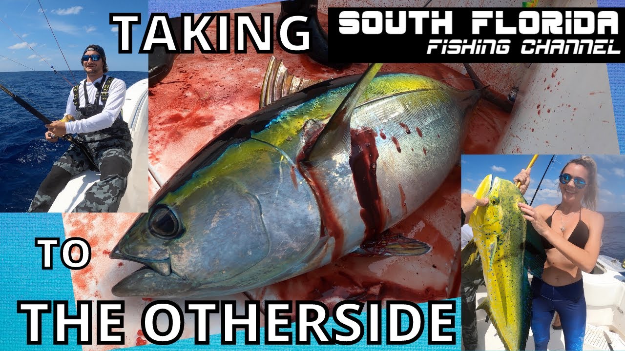 EXCITING Tuna & Mahi Fishing With South Florida Fishing Channel YouTube