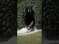#scarymoments #gaming #wildernesswanderer #funny #outdooradventure #army #junglevibes #survivalhome
