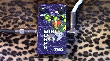 TWA MiniMorph Dynamic Waveshaper & funky filter fuzz synthy drive of love