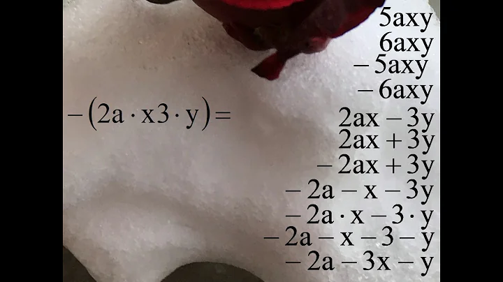 – ( 2a · x3 · y )