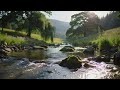 Sweet Creek