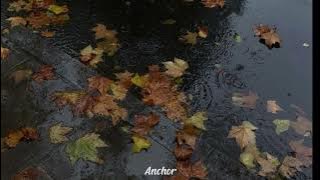 a playlist for the rainy day | 🌧☔️