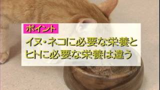 動物の栄養学編Vol.1 動物の栄養要求の特性（1）