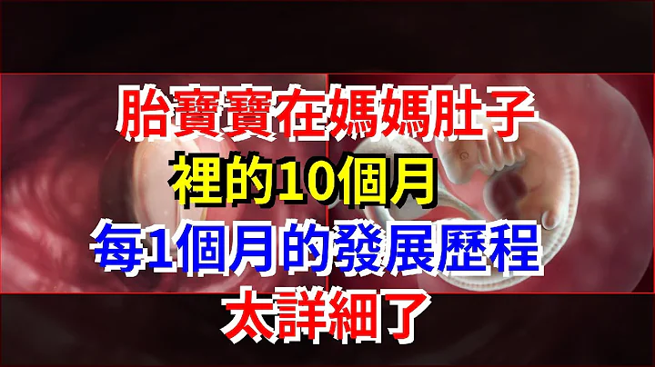 胎寶寶在媽媽肚子裡的10個月，每1個月的發展歷程，太詳細了 - 天天要聞