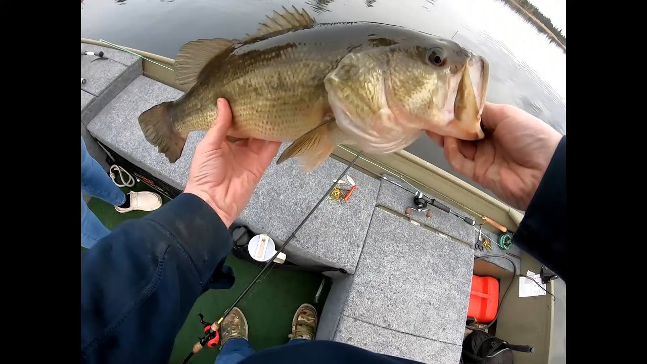 Early 2025 Spring Bass Fishing