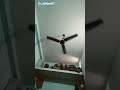 pankha chale to hawa deta hai 😂😂#viral #viralvideo #viralshort #viralshort #video #trendingshorts #t