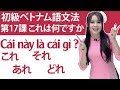 初級ベトナム語文法　第17課：「これ、それ、あれ、どれ」「これは何ですか？」「Cái này là cái gì?」#らくらくベトナム語　＃文法