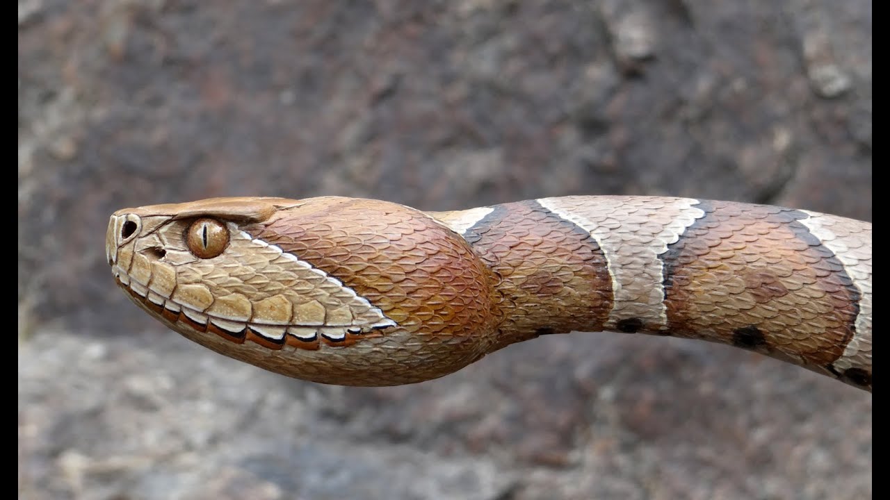 Image result for snake like stick