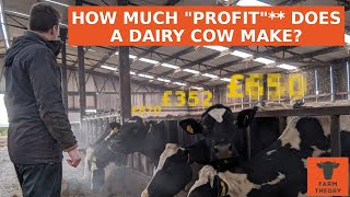 Farm Finances | Want to START dairy farming? WATCH THIS! | Dairy Farm BENCHMARKING