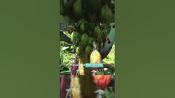 Why Avatar Game Is Getting So Much Hate! #shorts #youtubeshorts   #avatarfrontiersofpandora #gaming