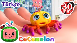 Mini Minicik Bir Örümcek Cocomelon Turkish Bebekler Için Şarkılar Çocuk Çizgi Filmleri