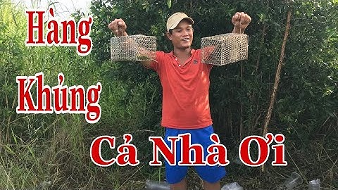 Đi Bẫy Chuột Cống Nhum Ai Ngờ Dính Chuột Khủng | Đi Bụi Vlogs