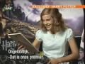 Dutch interview with Harry Potter Trio