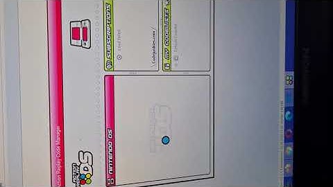 Action replay ds defekt