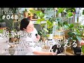 【植物リクエスト】リクエスト7選にお答え?(Vlog/048)