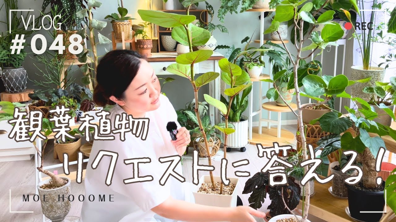 【植物リクエスト】リクエスト７選にお答え？（Vlog/048）