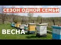 ВЕСНА-СЕЗОН СЕМЬИ-ПЧЕЛОВОДСТВО