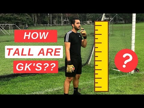 Can Short Guys Actually Be Good Goalkeepers?  Average GK Height