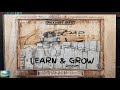 Learn  grow riddim instrumental  only vibes beats
