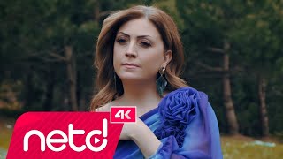 Duygu Sancaktar - Aşkın Ta Kendisi Resimi