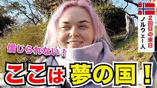 「日本どの国とも異なる◯◯がまるで違う」外国人観光客にインタビューようこそ日本へWelcome to Japan!