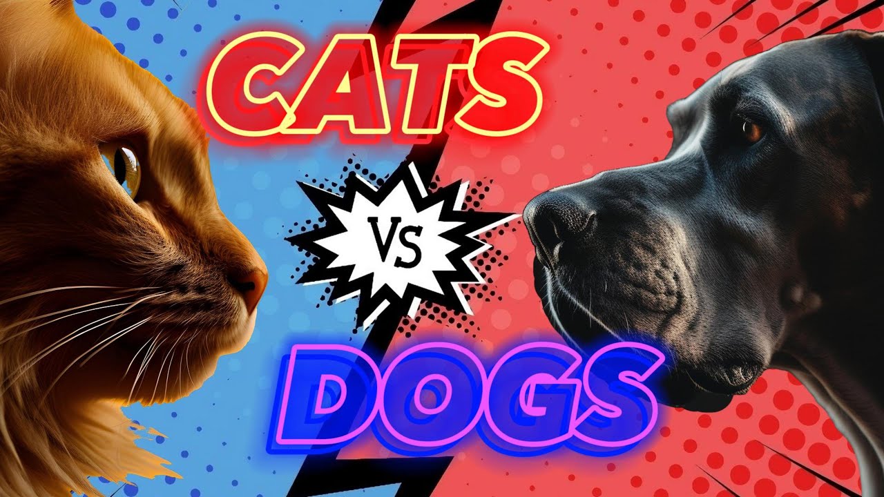 Furry Frenemies: Cats vs Dogs Showdown