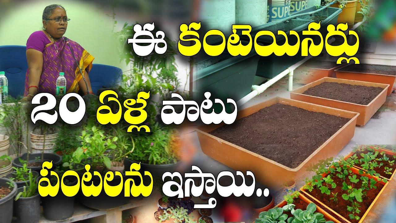 ఒకరోజు కూరకు సరిపడా కూరగాయలు రావాలంటే ఎన్ని మొక్కలు ఉండాలి ? Terrace Gardening | Latha