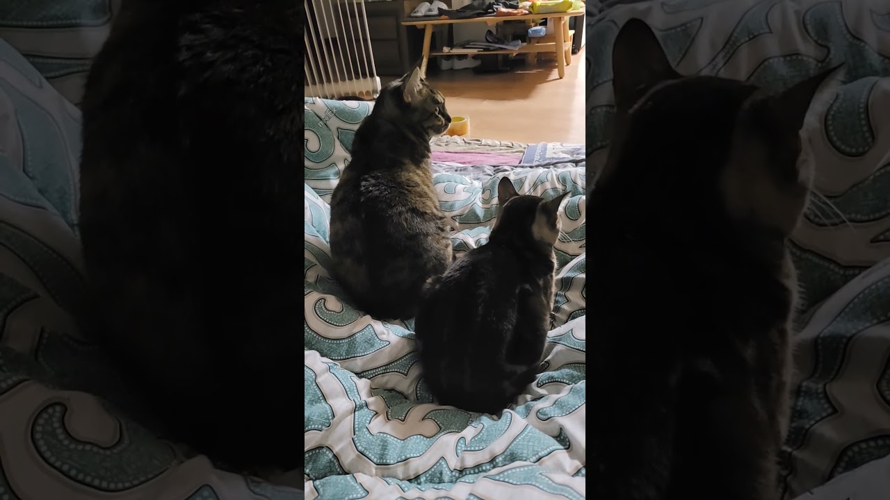 오~웃! 아가씨들 뒤태가~ beautiful-looking girls