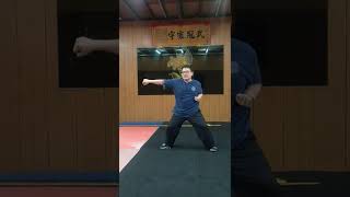 八極武術橫打簡易講解分析